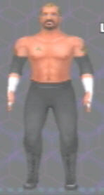 ddpfull.jpg